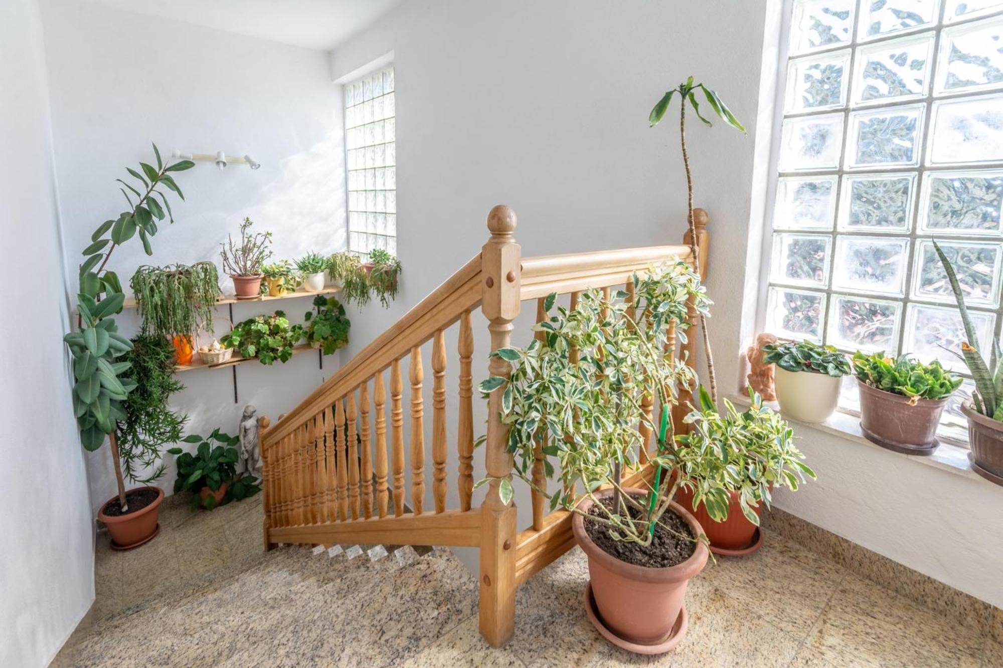 Apartments Mimi Trogir Chambre photo