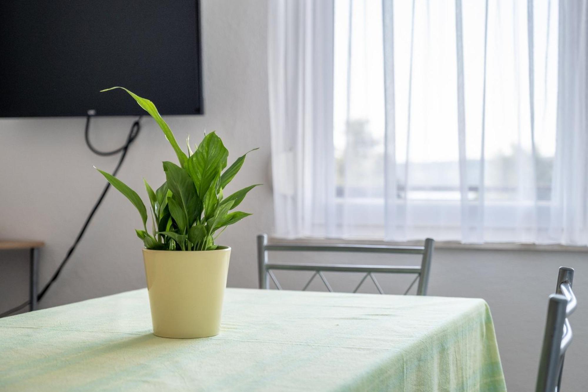 Apartments Mimi Trogir Chambre photo